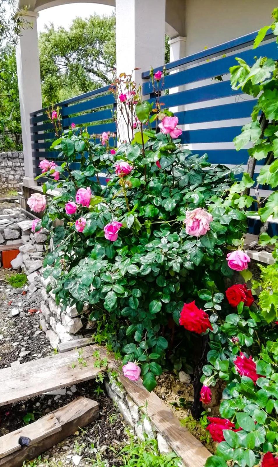 Vila Dolani Klek Bagian luar foto