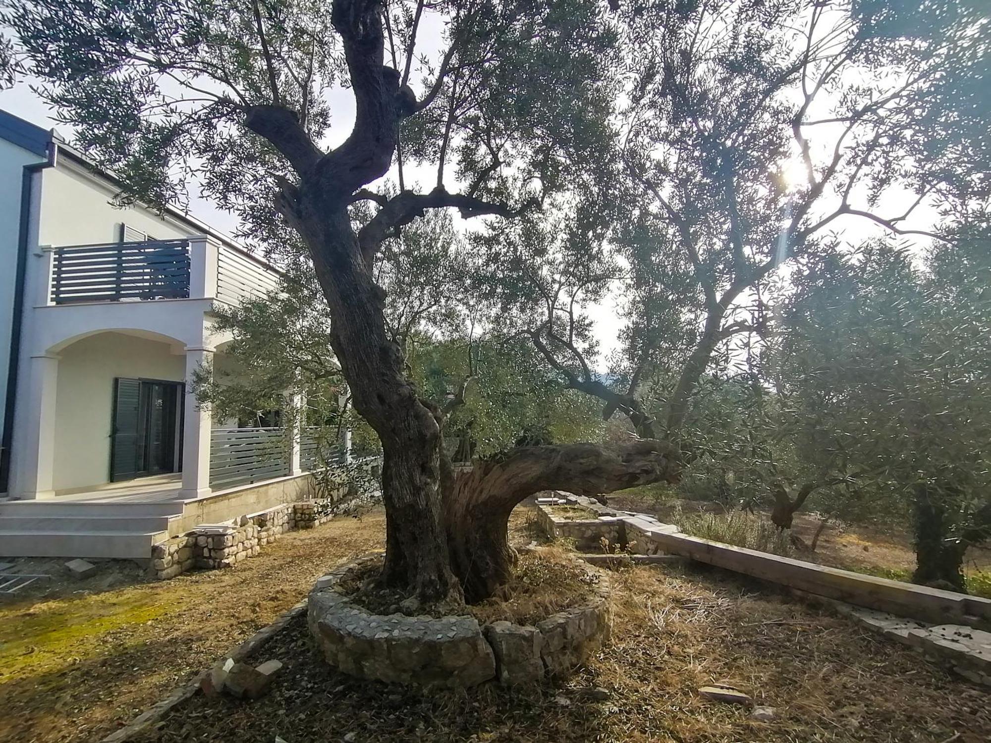 Vila Dolani Klek Bagian luar foto